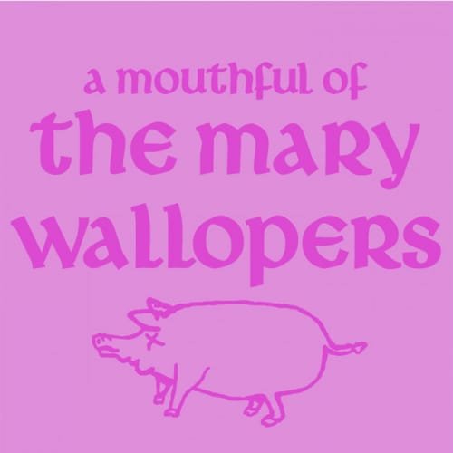 The Mary Wallopers at University of Sheffield Octagon