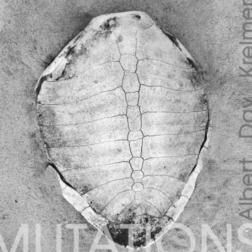 Jazz Hot Six at Yellow Arch Studios