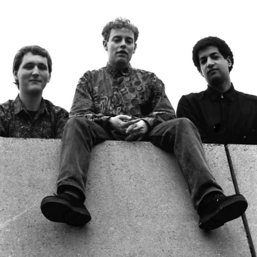 GIG: Poisonous Little Creatures at Hallamshire Hotel