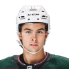 Dylan Guenther Stats