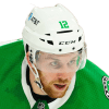 Radek Faksa  Stats