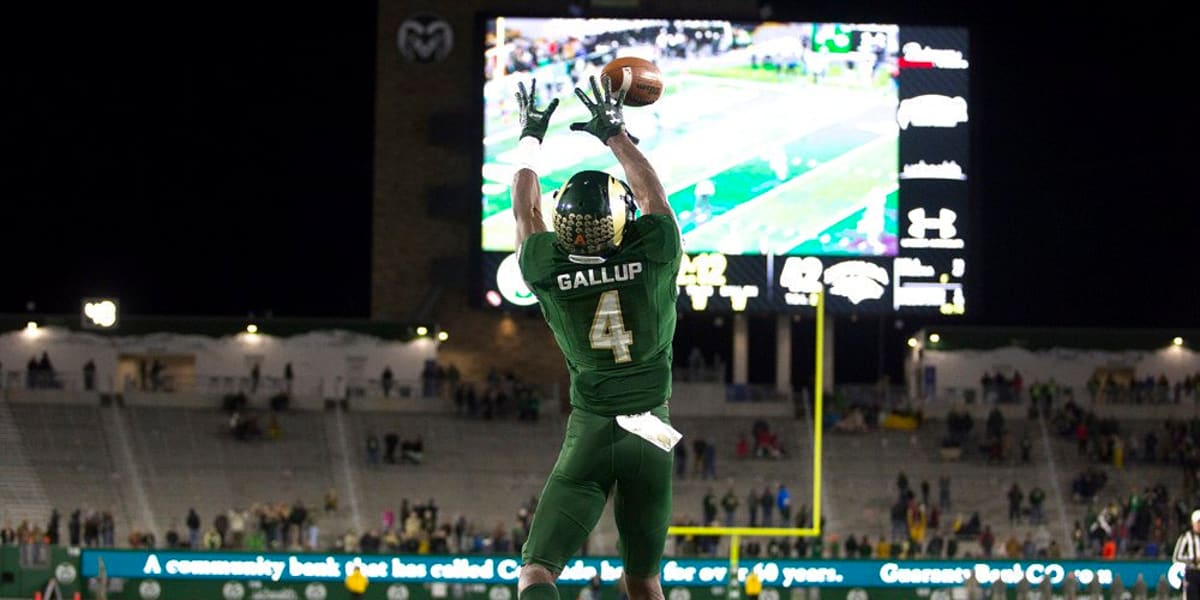 Michael Gallup Csu