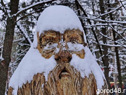 Ночью температура в Липецкой области опустится до -30