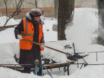 Во дворах Липецка не хватает дворников