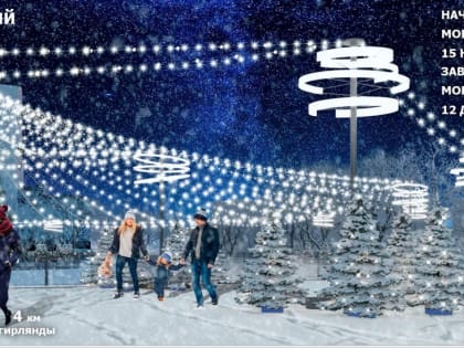 До 15 декабря в Липецке установят новогодние ели