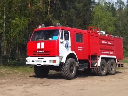 В Липецкой области установилась высокая пожарная опасность в лесах