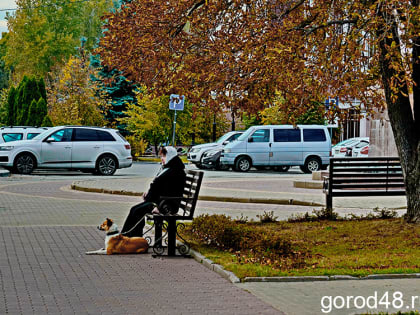 Первый день ноября побалует теплом: в Липецкой области сухо и до +17