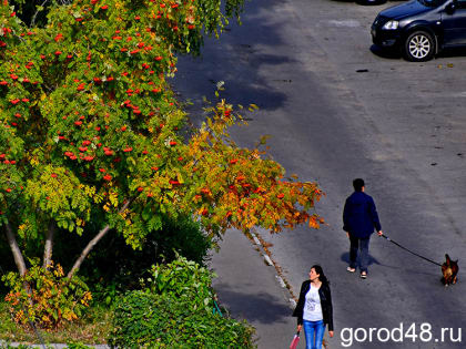 В Липецкой области сухо и до +22