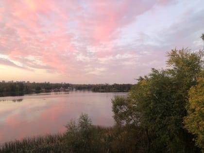 Потепление до +15, ночные дожди и сильный ветер в Липецке ждут 13 октября