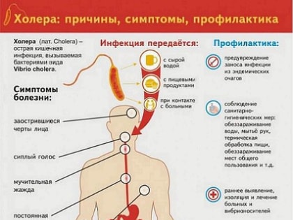 Холера: пути заражения и меры профилактики