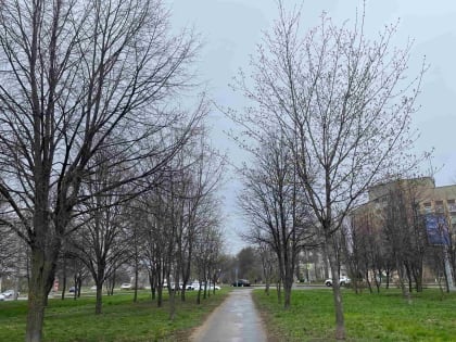 В Липецкой области ночью до -3, днем до +15