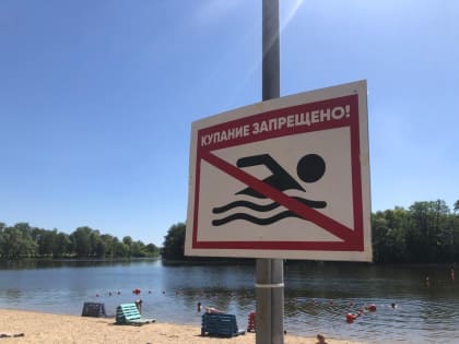 Липчанам запрещено купаться на городских пляжах из-за плохой воды