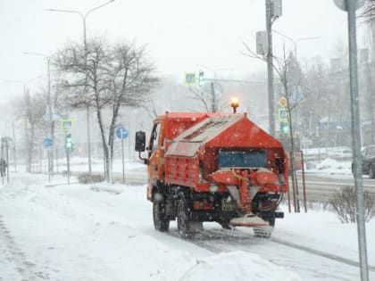 Сильные морозы в Липецке сменились оттепелью