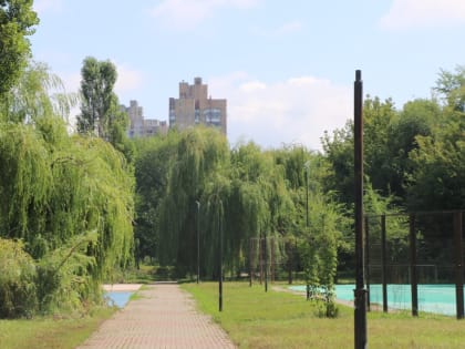 Благоустройство урочища Каменный лог: депутаты получают поддержку от местных жителей