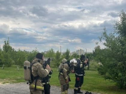 Специалист по ГО и ЧС Липецкой областной станции  переливания крови отличился на смотре-конкурсе  среди пожарно-спасательных гарнизонов