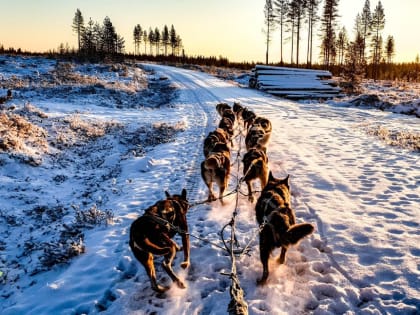 Доброе утро, липчане! Сегодня День хореографа