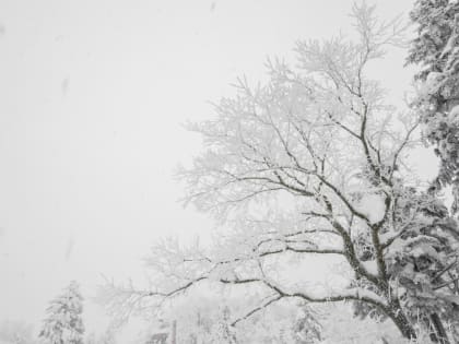 Липчане просят расчистить дворы от снега