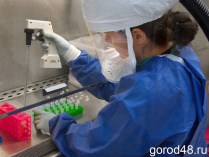 За&nbsp;неделю от&nbsp;COVID-19 умерли четыре человека