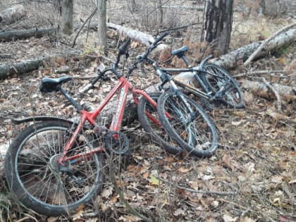 Водитель «ВАЗа» насмерть сбил женщину и двоих детей на велосипедах
