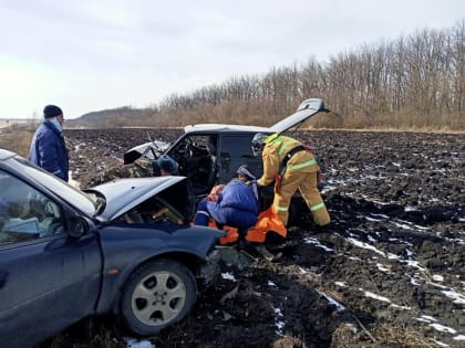 Два человека пострадали в ДТП с Рено и Ладой на трассе под Липецком