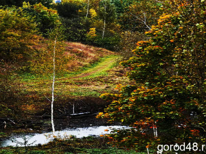 В Липецкой области ночью ожидаются первые осенние заморозки до -1 и мокрый снег