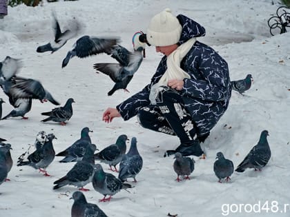 С атлантическим циклоном в Липецкую область вернется снег