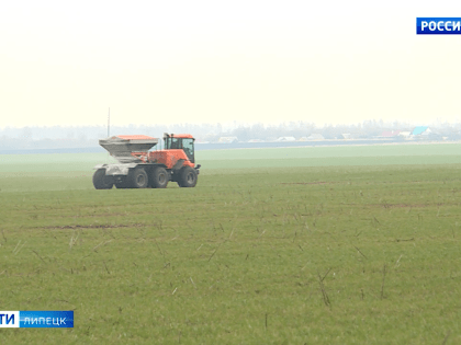 Производители зерна в Липецкой области получат 250 млн дополнительной господдержки