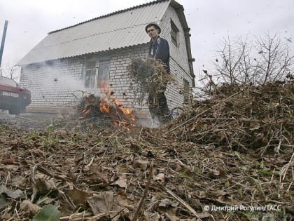 Упрощаются правила сжигания мусора на садовых участках