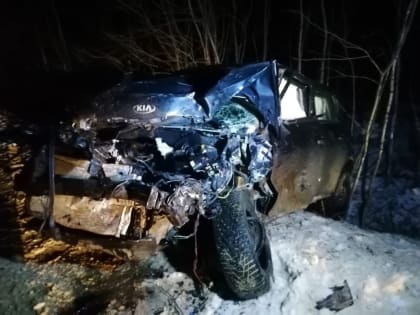 Полиция проводит проверку после ДТП с тремя погибшими под Липецком 