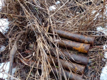 В Липецкой области уничтожены снаряды, обнаруженные жителем Москвы