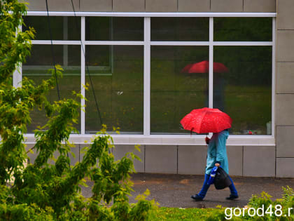 В Липецкой области завтра дождливо, ветрено и до +9