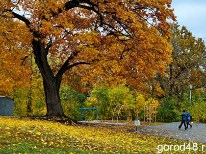 В Липецкой области дождливо и до +14