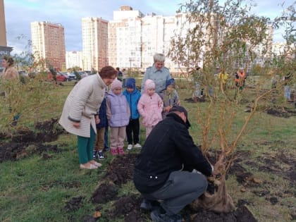 Депутаты горсовета высадили аллею в парке "Европейский"