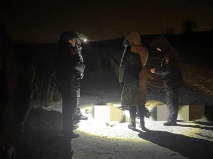 У пруда под Липецком обнаружены трупы расстрелянных собак