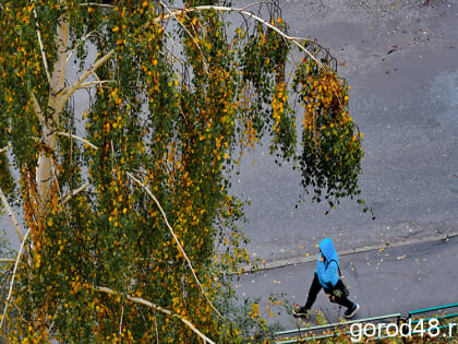 В Липецкой области завтра дождливо, ветрено и до +11