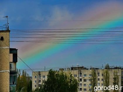 Завтра в Липецкой области дожди и до +18