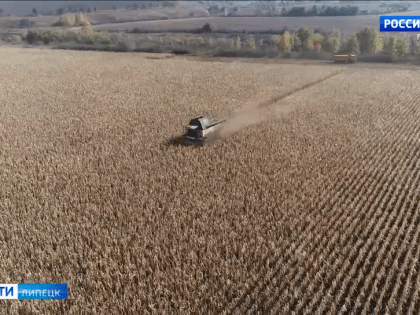 Культура в современном обществе: вызовы и перспективы