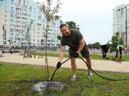 В историческом центре Липецка посадили деревья
