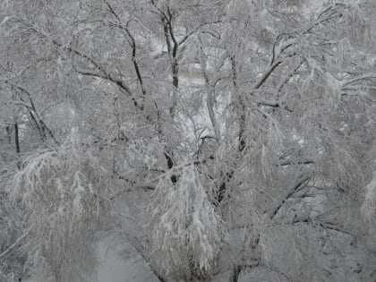 Температурные качели с аномальным теплом и морозами ждут в Липецке после каникул