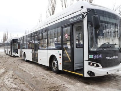 На маршруты в Липецке выйдут девять новых автобусов