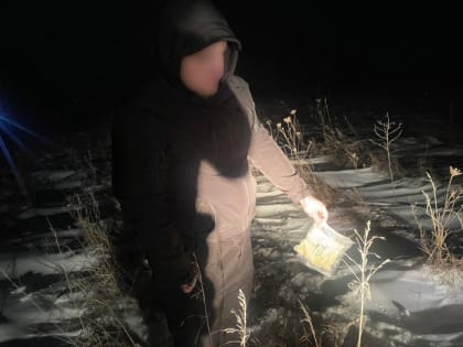 Липецкие полицейские поймали молодого закладчика