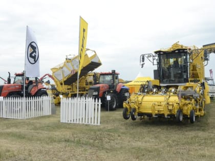 От импорта не зависим