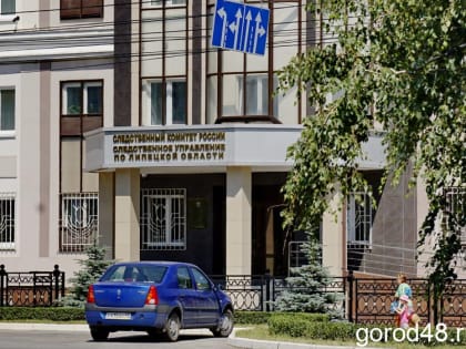 По факту падения дерева на девочку Следственный комитет проводит проверку