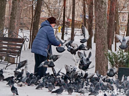 Южный циклон принесет в Липецкую область метель