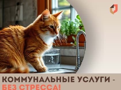 МФЦ - на все случаи жизни