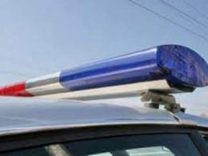 В Подгорном сбили двух пешеходов