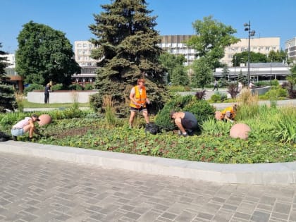 В Липецке стартовала экоакция 