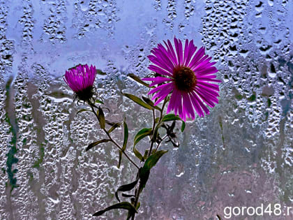 Завтра в Липецкой области потеплеет до +9