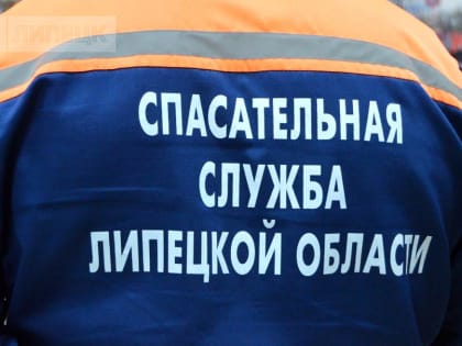 Под Липецком спасатели помогли женщине с двумя детьми, машина которой вылетела в кювет