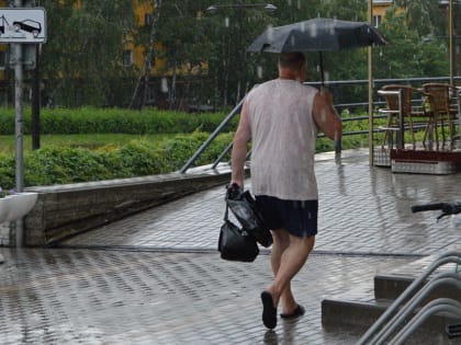 Уходящий циклон оставит дожди с грозами и порывистый ветер в Липецкой области 13 июля